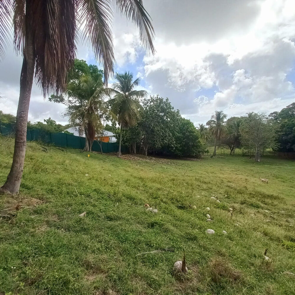 Vente Terrain Terrain constructible à vendre DAMPIERRE LE GOSIER (971) Le gosier