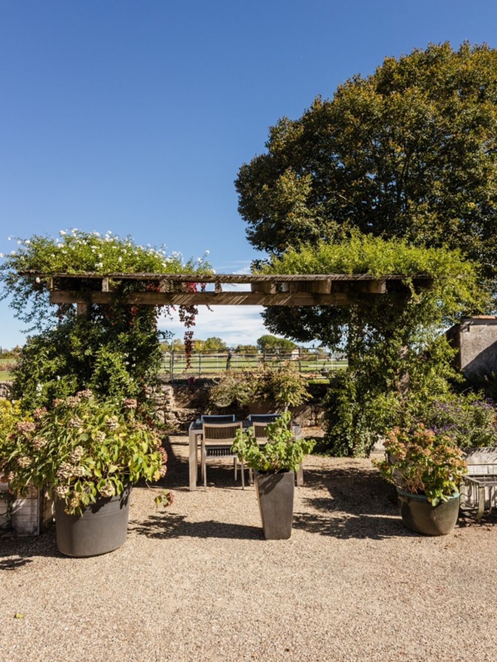 Propriété avec vue 360° sur lessentiel : un domaine dexception dédié à la vie équestre TOURNON D'AGENAIS (47)