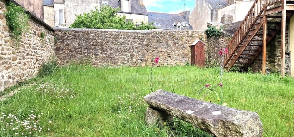 A vendre Bretagne-Finistere-Douarnenez-centre ville-Maison- 18 pièces-Terrasse-Jardin-local commercial