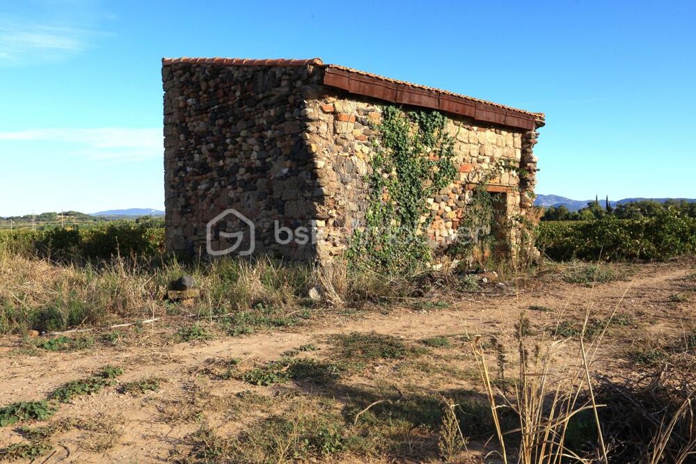 Vente Terrain Domaine viticole BIO de 9 hectares au cœur de l'Hérault Ceyras