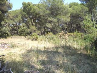  Terrain � vendre 4644 m�