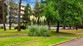  Appartement � vendre 2 pi�ces 40 m�