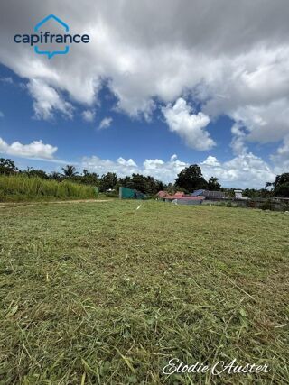  Terrain  vendre 646 m