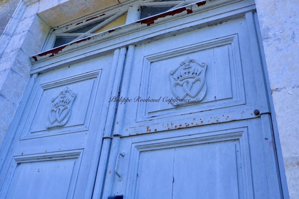 Château du XVII? siècle à vendre, 17 pièces, FOUSSAIS PAYRE (85)
