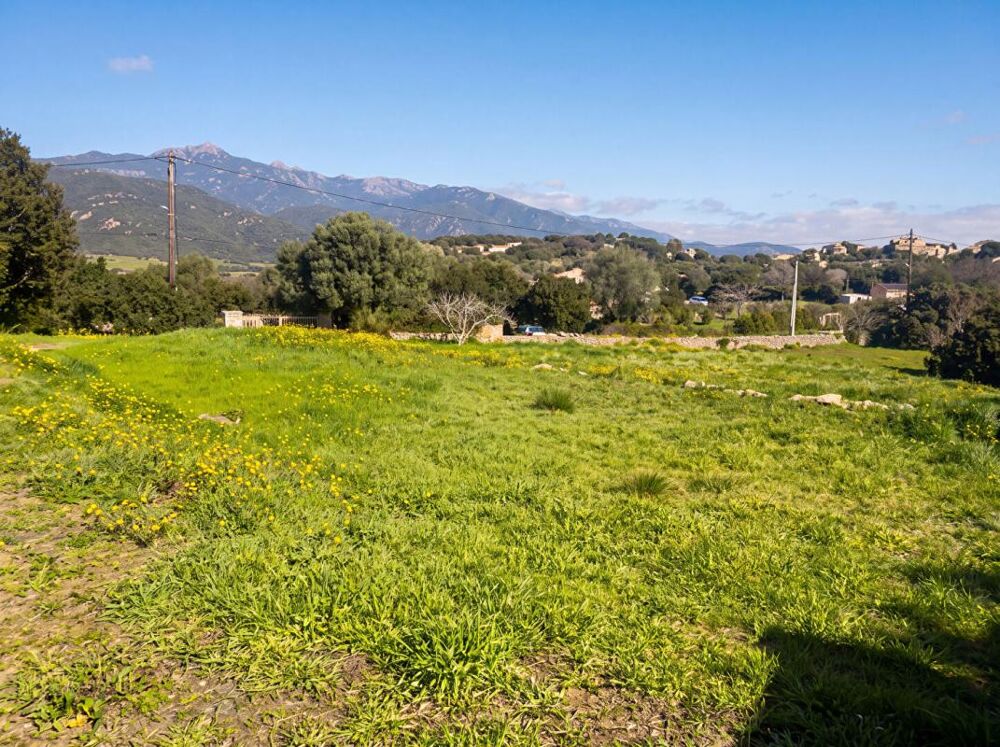 Vente Terrain Pianottoli-Caldarello Terrain à batir avec PC  pour une Villa de 150 m² avec piscine et garage fermé Pianottoli caldarello