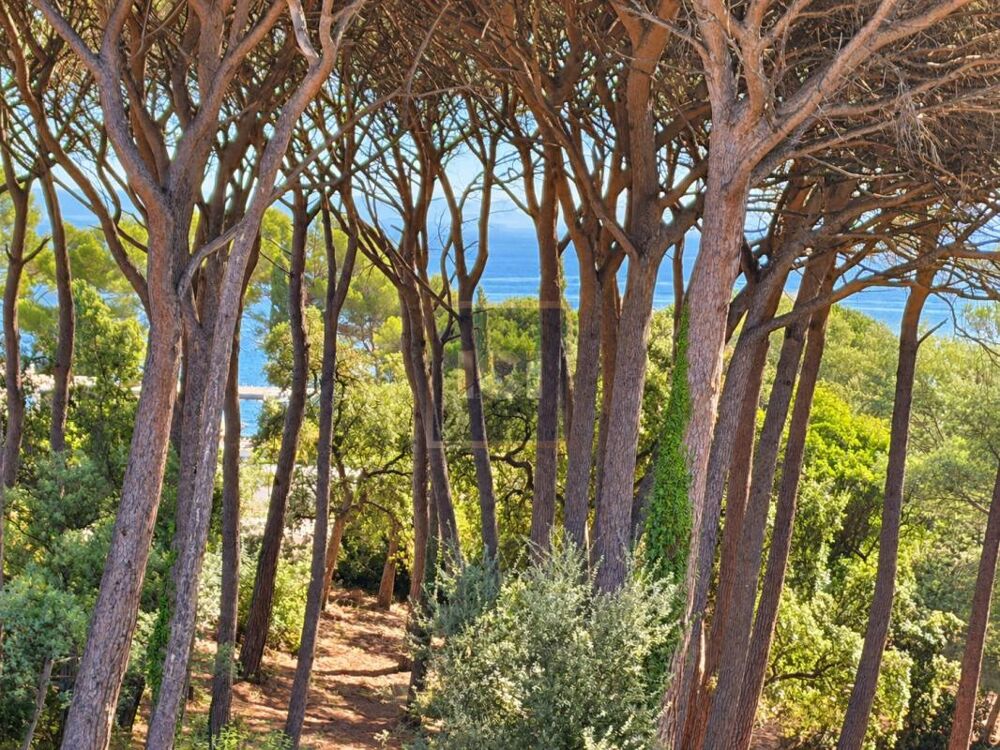 Sainte-Maxime secteur La Croisette - Appartement T4 vue mer