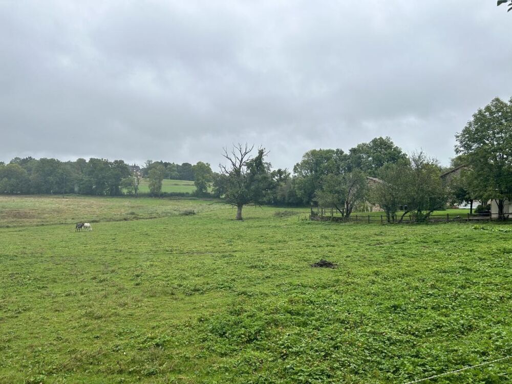 Vente Terrain Terrain Boisseuil