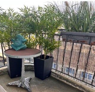  Appartement à louer 2 pièces 66 m²