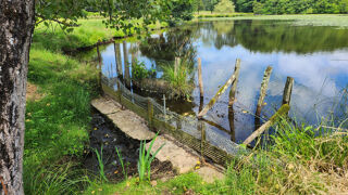  Terrain � vendre 86771 m�