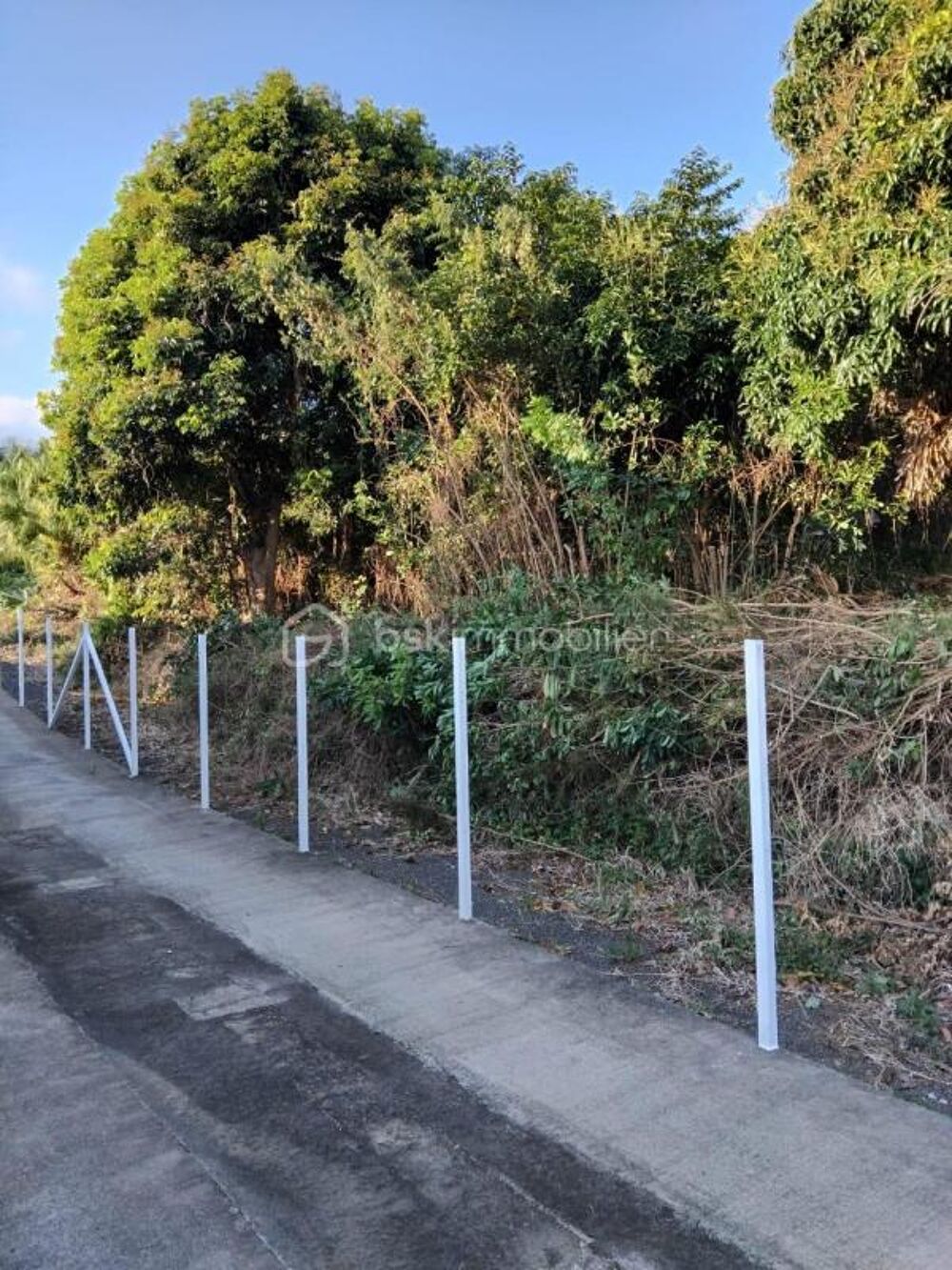 Vente Terrain Terrain Constructible de 1078 m² à l'Entre-Deux, La Réunion Entre deux