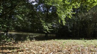  Terrain à vendre 1300 m²