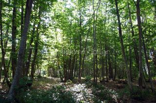  Terrain � vendre 27870 m�