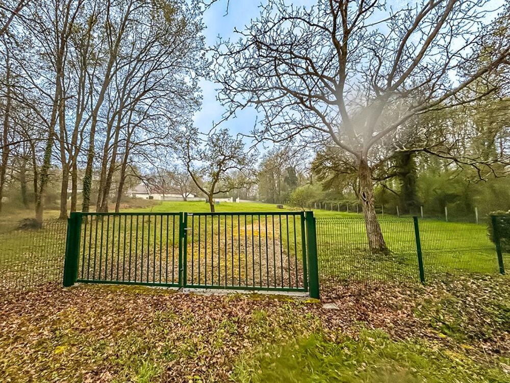 Vente Terrain Terrain Selles Sur Cher 3626 m2 Selles sur cher