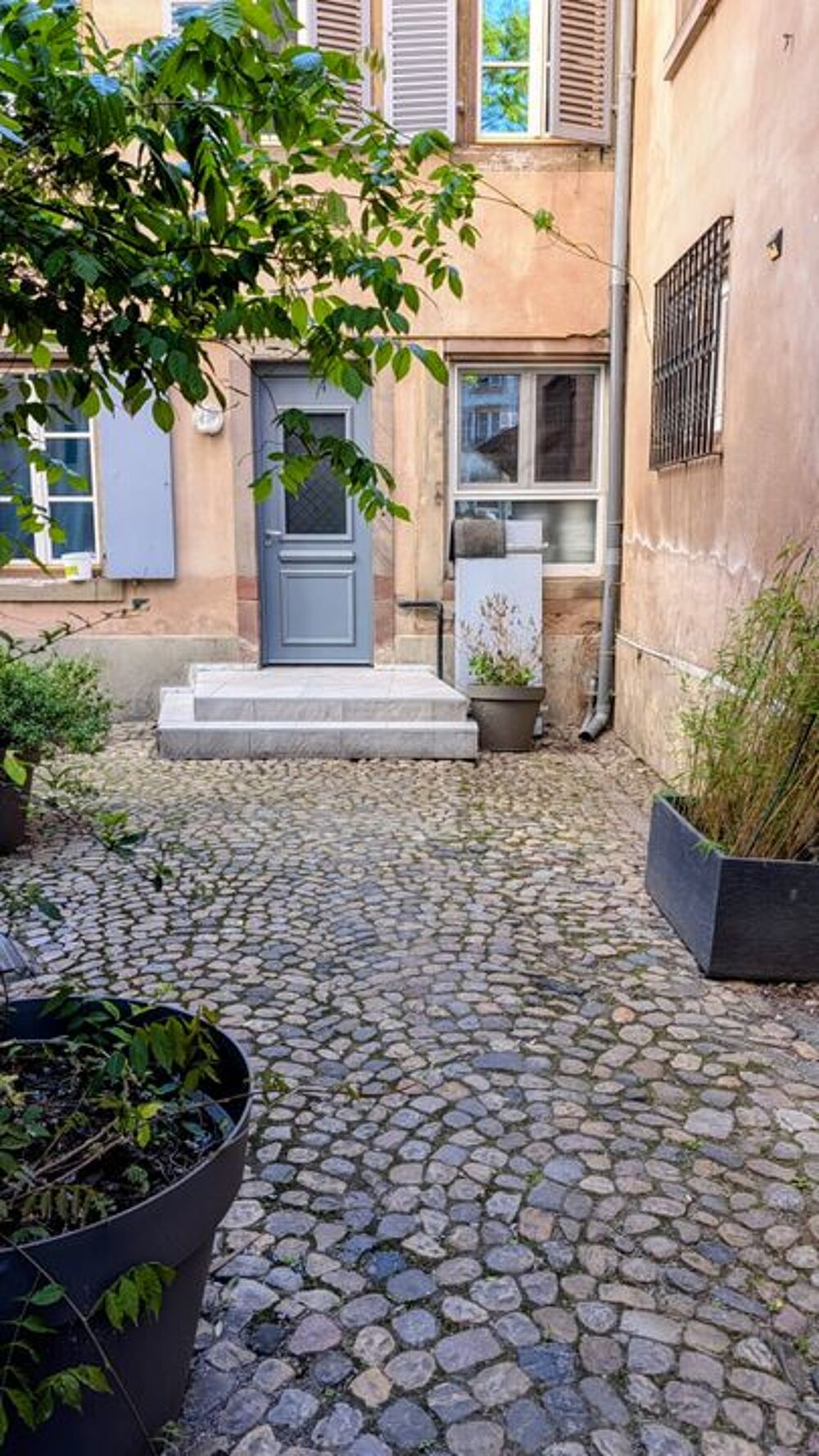 Location Appartement Appartement de 60m2 à louer sur Strasbourg Strasbourg