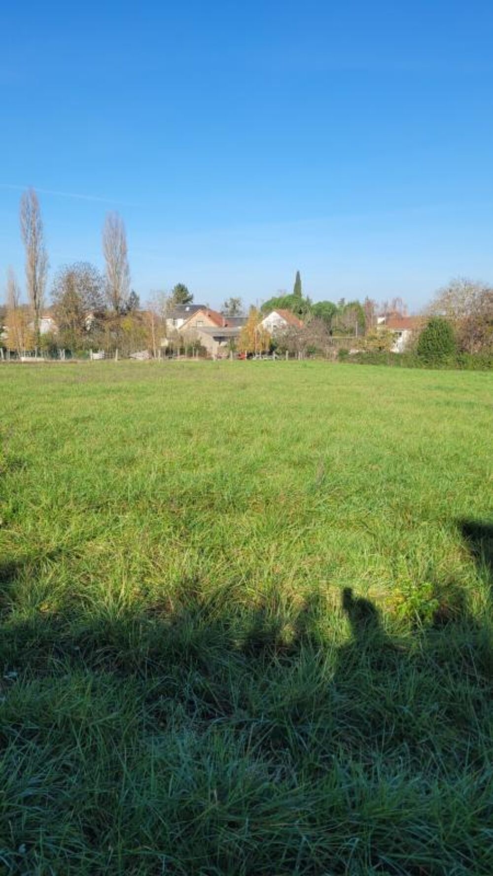 Vente Terrain DANGE SAINT ROMAIN (86220) - Terrain à vendre de 25 445,00 m² Dange saint romain