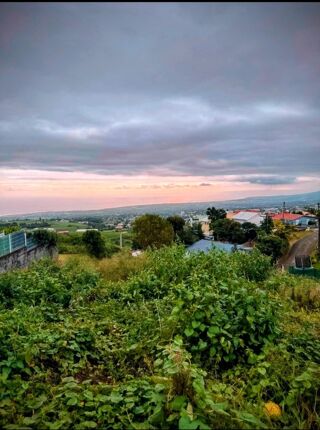  Terrain � vendre 440 m�