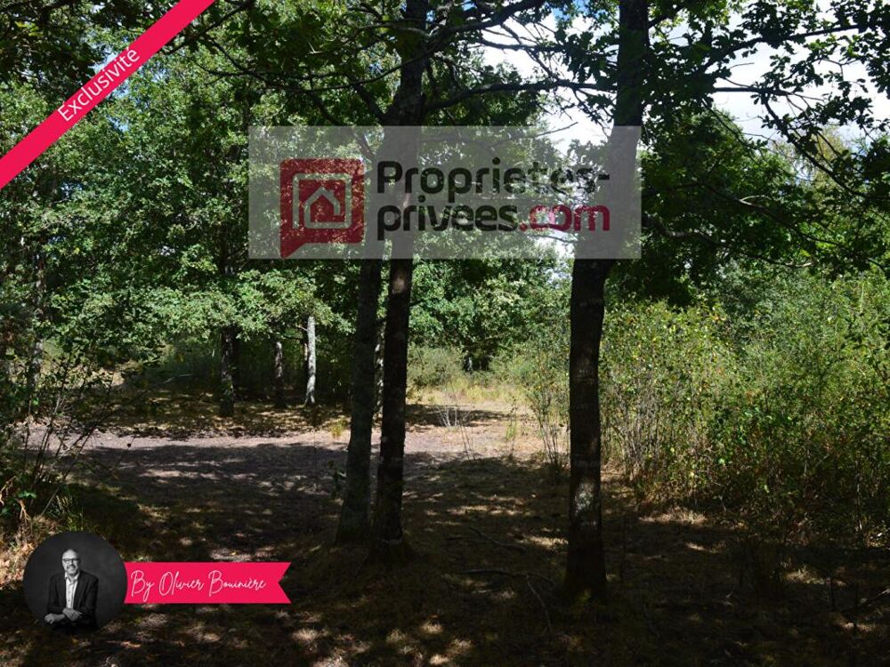 Vente Terrain Terrain boisé de 30 000 m² Sainte reine de bretagne