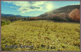  Terrain � vendre 16523 m�