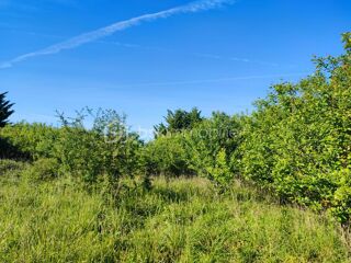  Terrain à vendre 5088 m²