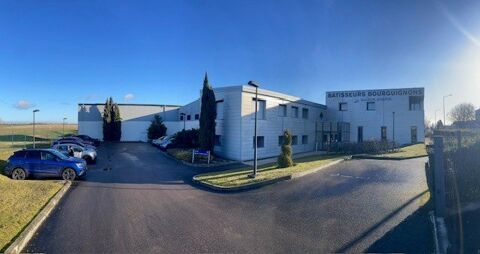 A VENDRE - BATIMENT D'ACTIVITE 1250000 21800 Quetigny