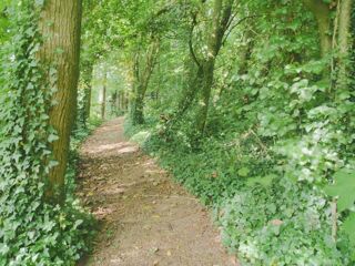  Maison  vendre 7 pices 130 m