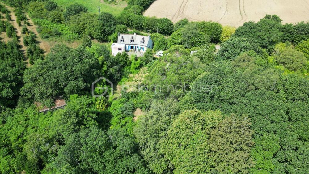 Vente Propriété/Château Propriété de 4 chambres isolée en pleine campagne Langolen