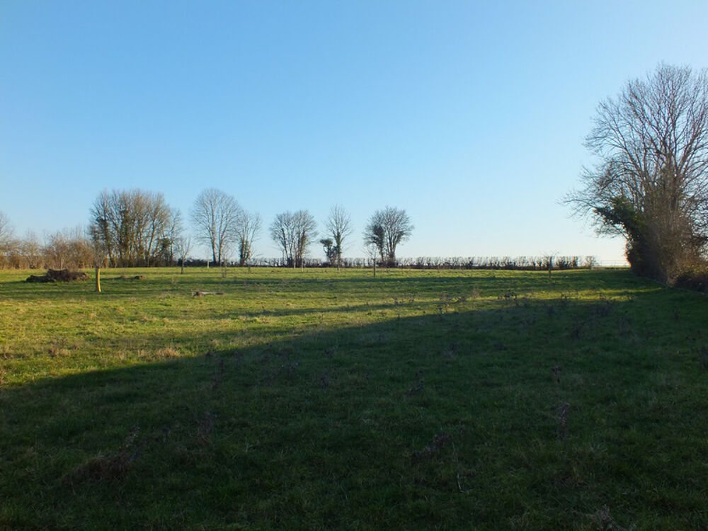 Vente Terrain Dpt Côte d'Or (21), à vendre MUSIGNY terrain - Terrain de 5 990,00 m² Musigny
