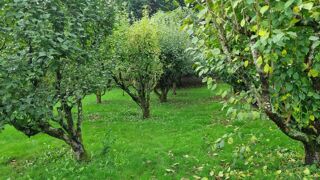  Propri�t�/ch�teau � vendre 10 pi�ces 210 m�