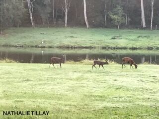  Propri�t�/ch�teau � vendre 12 pi�ces 365 m�