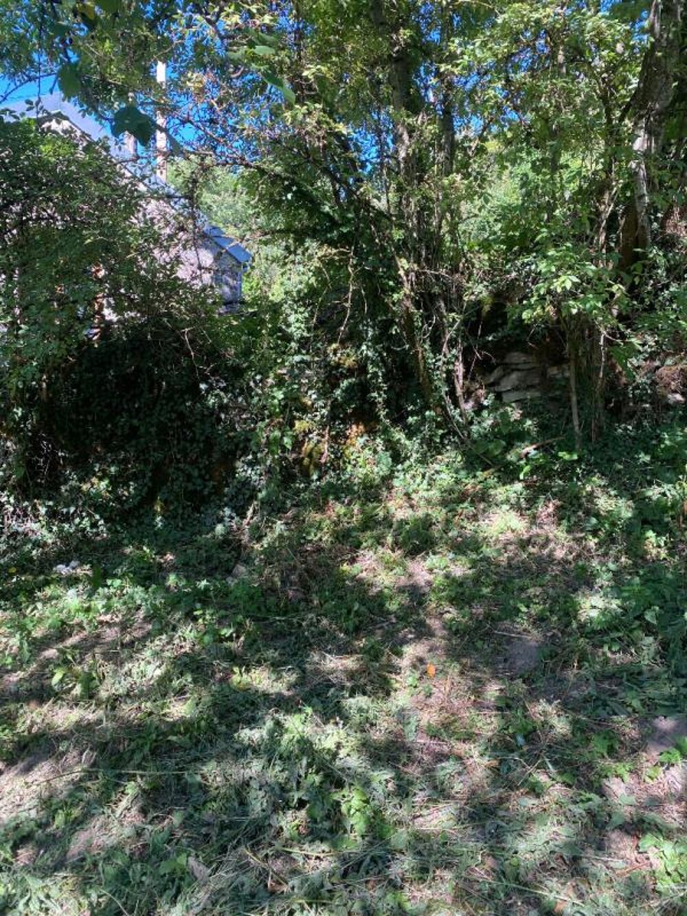 Vente Terrain Terrain constructible 1294 m2 Grenant les sombernon
