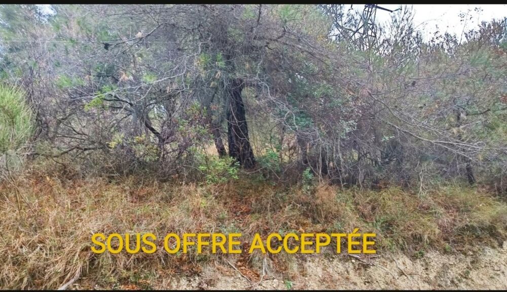 Vente Terrain Terrains de loisirs à vendre e de 7 769,00 m² PEILLE (06) Peille