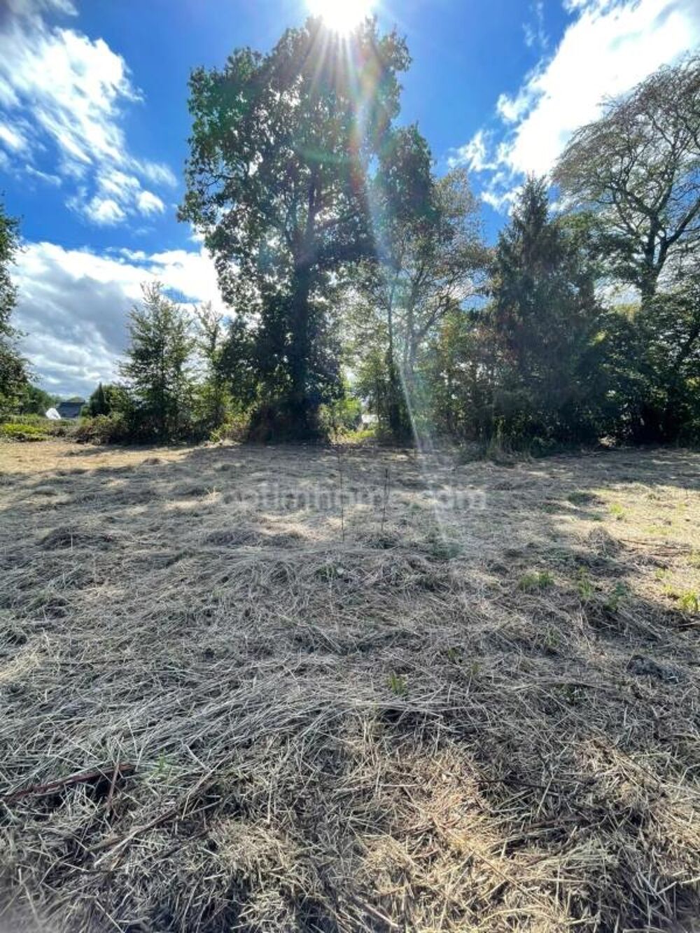 Vente Terrain Terrain constructible 1 498 m² au calme - Libre de constructeur (Ploërmel) Ploermel