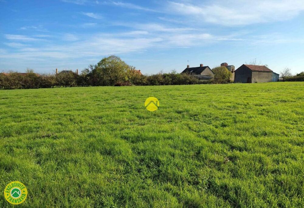 Maison+Grange sur 1 ha !