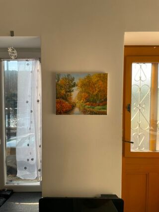  Appartement à louer 3 pièces 45 m²
