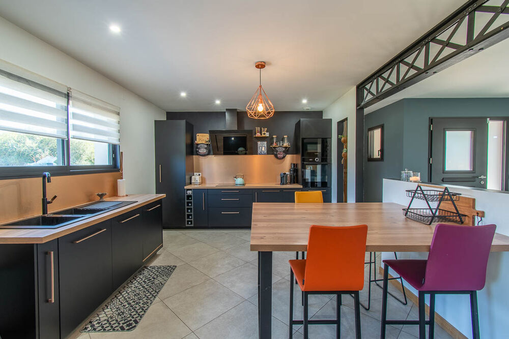Maison Mery Sur Cher 6 pièce(s) 179 m2