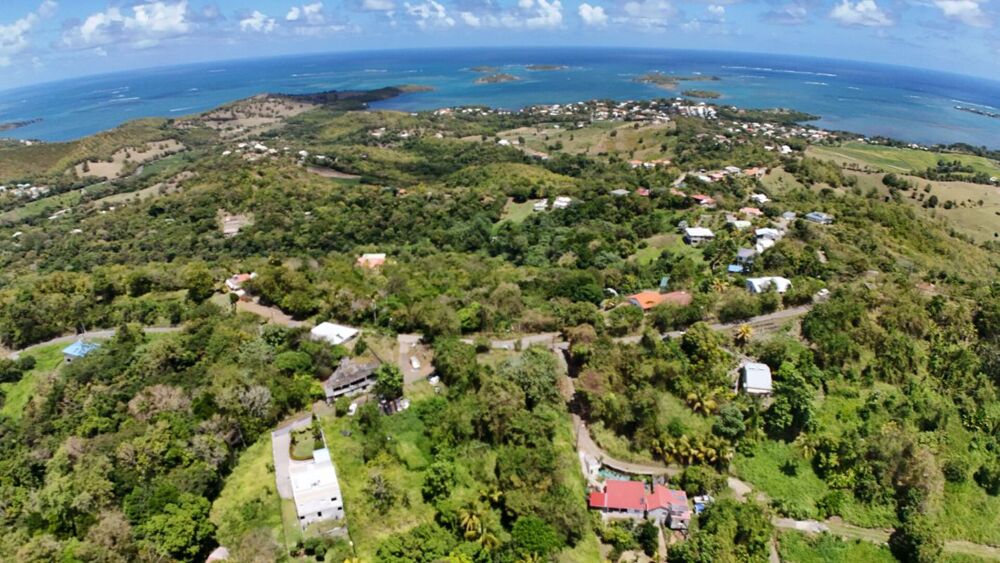 Vente Terrain TERRAIN CONSTRUCTIBLE  de 3 242 m² -Emprise au sol 50 % -LE FRANÇOIS Le francois
