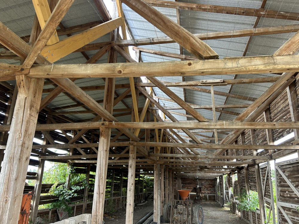 Vente Autre ENTRAIGUES (63) ancien séchoir de 220 m2 sur 709 m2 de terrain Entraigues
