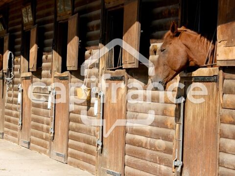 GARD(30) &Agrave; VENDRE Fonds de Commerce de Promenade &agrave; Cheval &agrave; proximit&eacute; de la mer en petite Camargue 10 000 m 2 495000 30240 Le grau du roi
