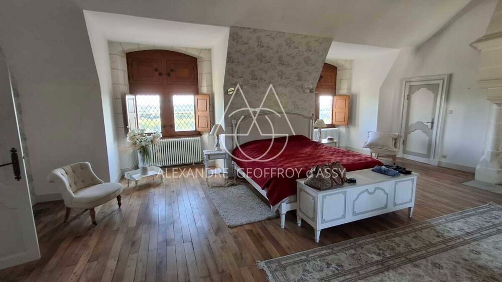 à vendre  Propriété/château Le Blanc (36300)