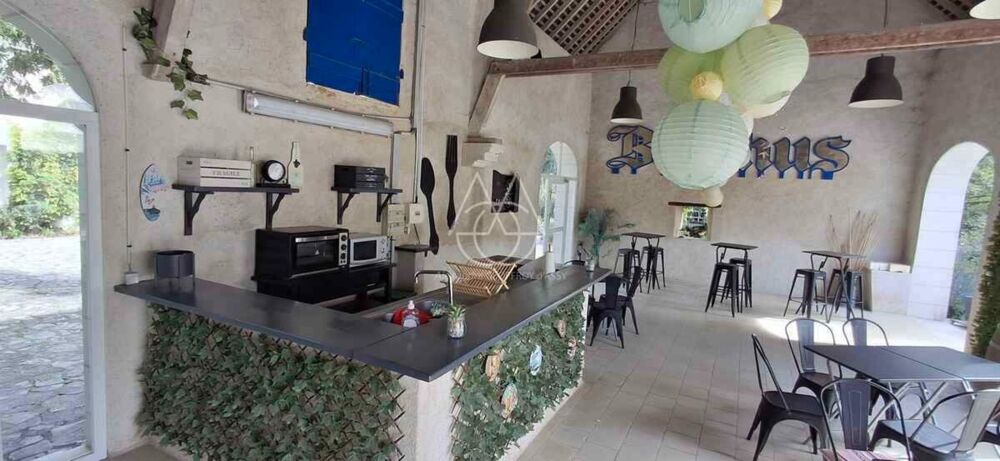 Entre Tours et Amboise, découvrez un moulin du XVIe siècle au cadre exceptionnel sur 3.4ha