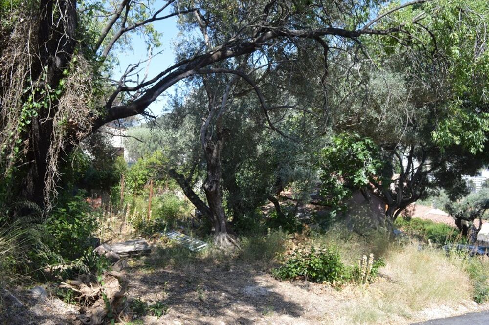 Vente Terrain Toulon 4 chemin des routes / chemin de pelvoux Terrain constructible de 722 m2 zone UE emprise 25% Toulon