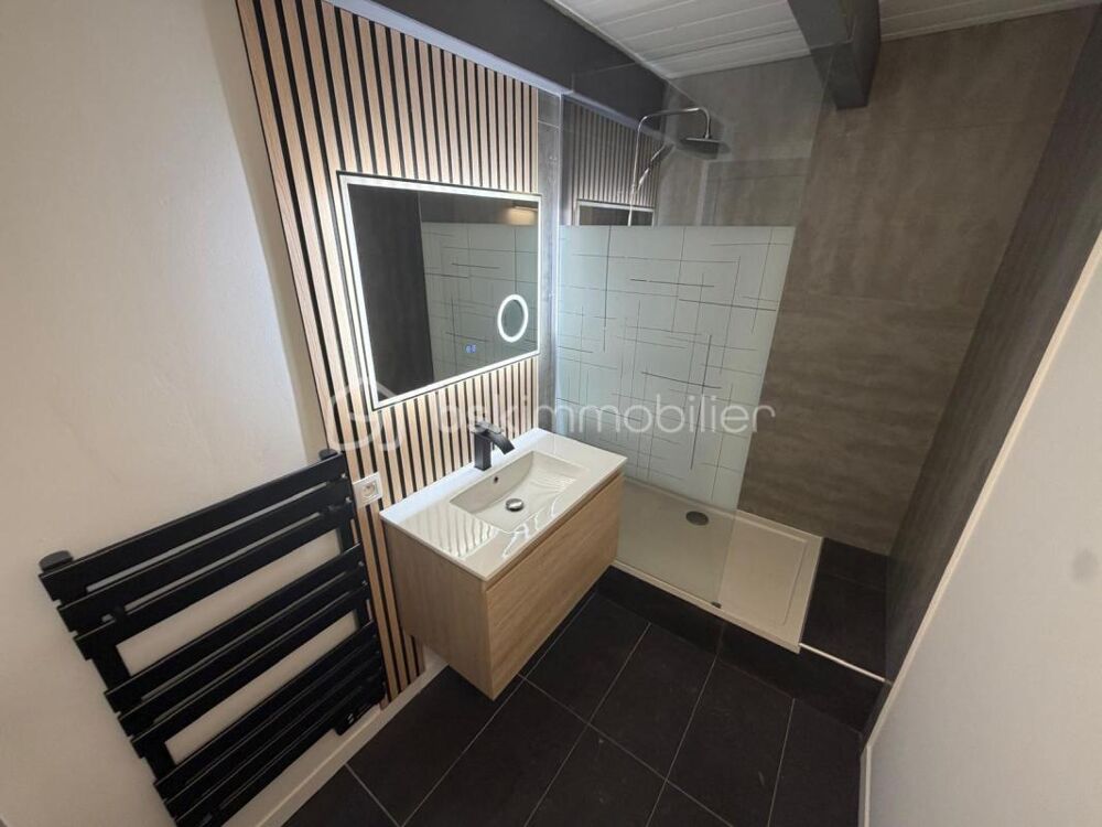 Vente Loft Appartement T2 loft de 72 m² et cave Albertville