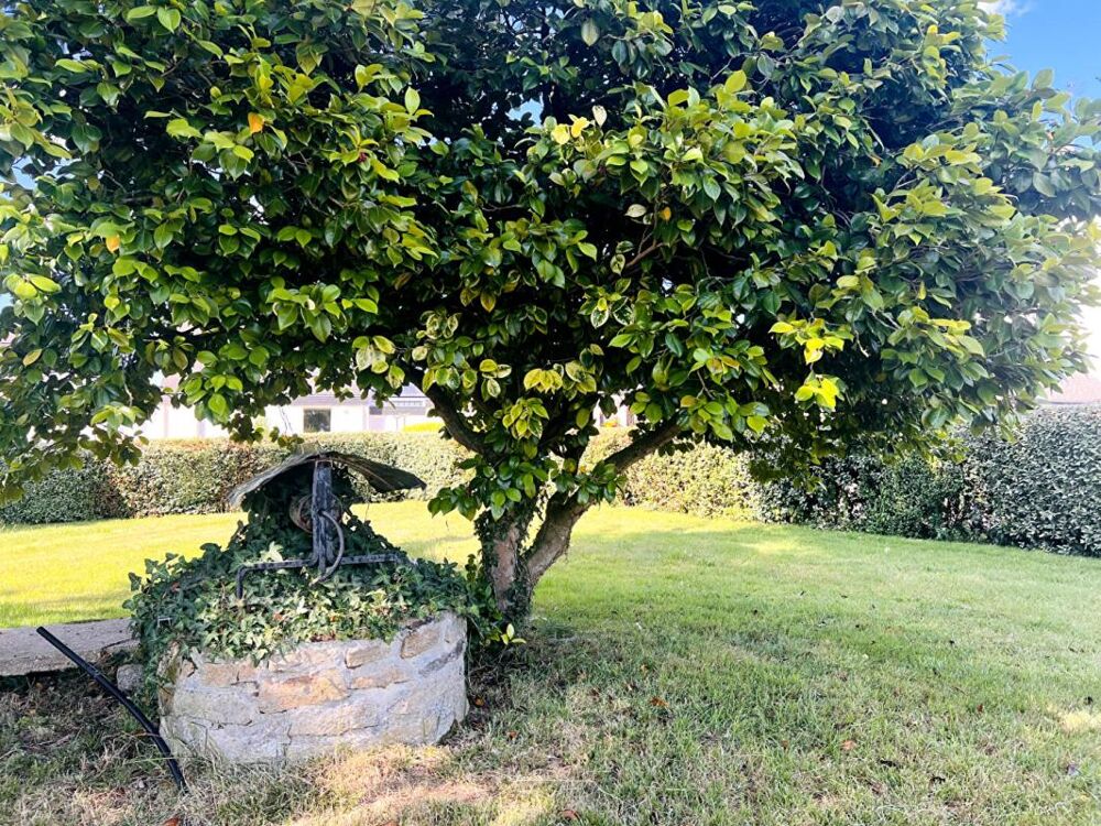 Vente Maison Maison Reguiny Reguiny