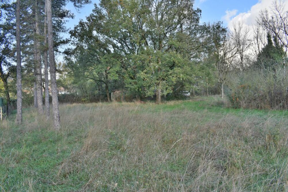 Vente Terrain Terrain à vendre de 4 554,00 m² CASTRES (81) Castres