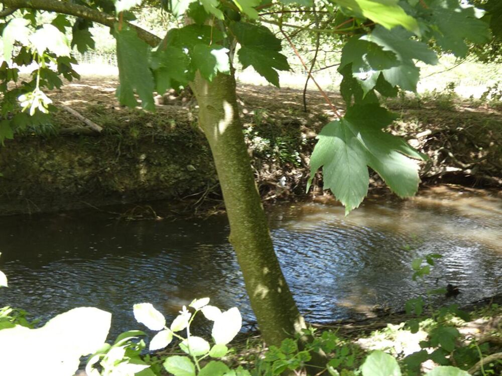 Vente Terrain Terrain  bord de rivière 921 m² viabilisé Boncourt