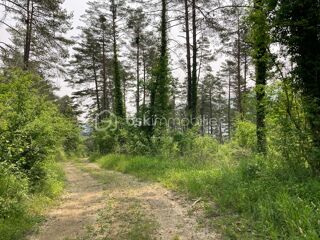  Terrain à vendre 72330 m²