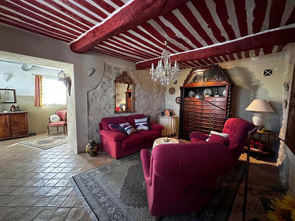 EXCLU, proche FORCALQUIER, Belle MAISON DE VILLAGE de 126 m² avec terrasses, jardin et cour