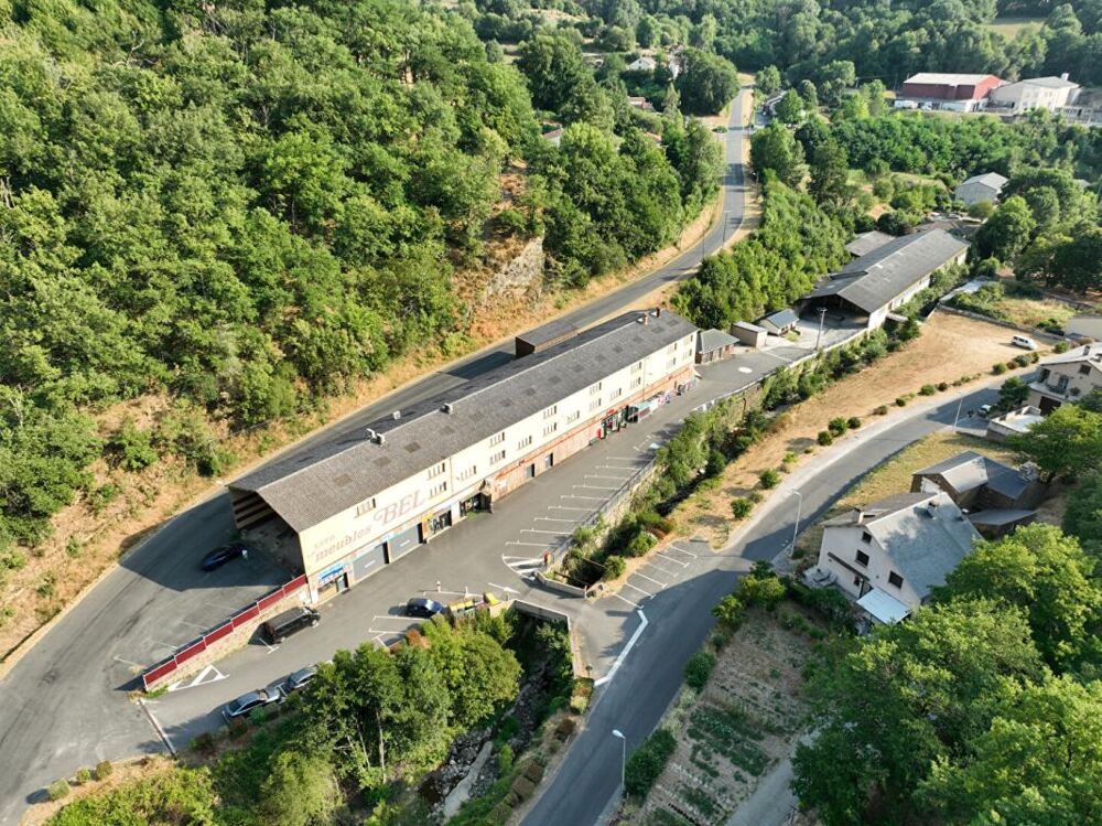 Vente Immeuble Ensemble immobilier de 32 pièces R+1 de 1661 m2 Coupiac