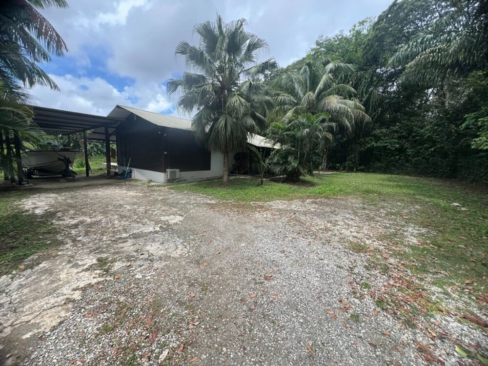 Vente Propriété/Château Gite de 12 bungallows plus foncier d'environ 2 ha à vendre Matoury