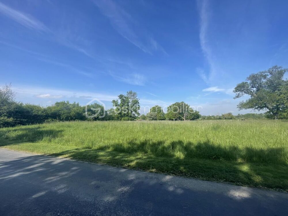Vente Terrain Terrain constructible - Châtillon-sur-Broué Giffaumont champaubert